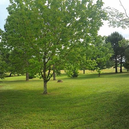 Montignac-Toupinerie Une Pause Nature Chez Marion Et Cedric מראה חיצוני תמונה